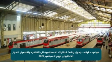 مواعيد دقيقة.. جدول رحلات قطارات الإسكندرية إلى القاهرة وتفاصيل الحجز الإلكتروني ليوم 2 سبتمبر 2025